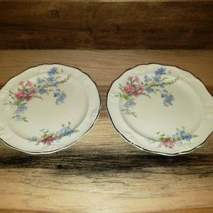 Vintage TST Chelsea Pattern Set of 2 Plates